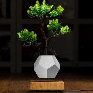 uusi puinen pohja magneettinen levitaatio pohja flyte air bonsai potin istutuskone